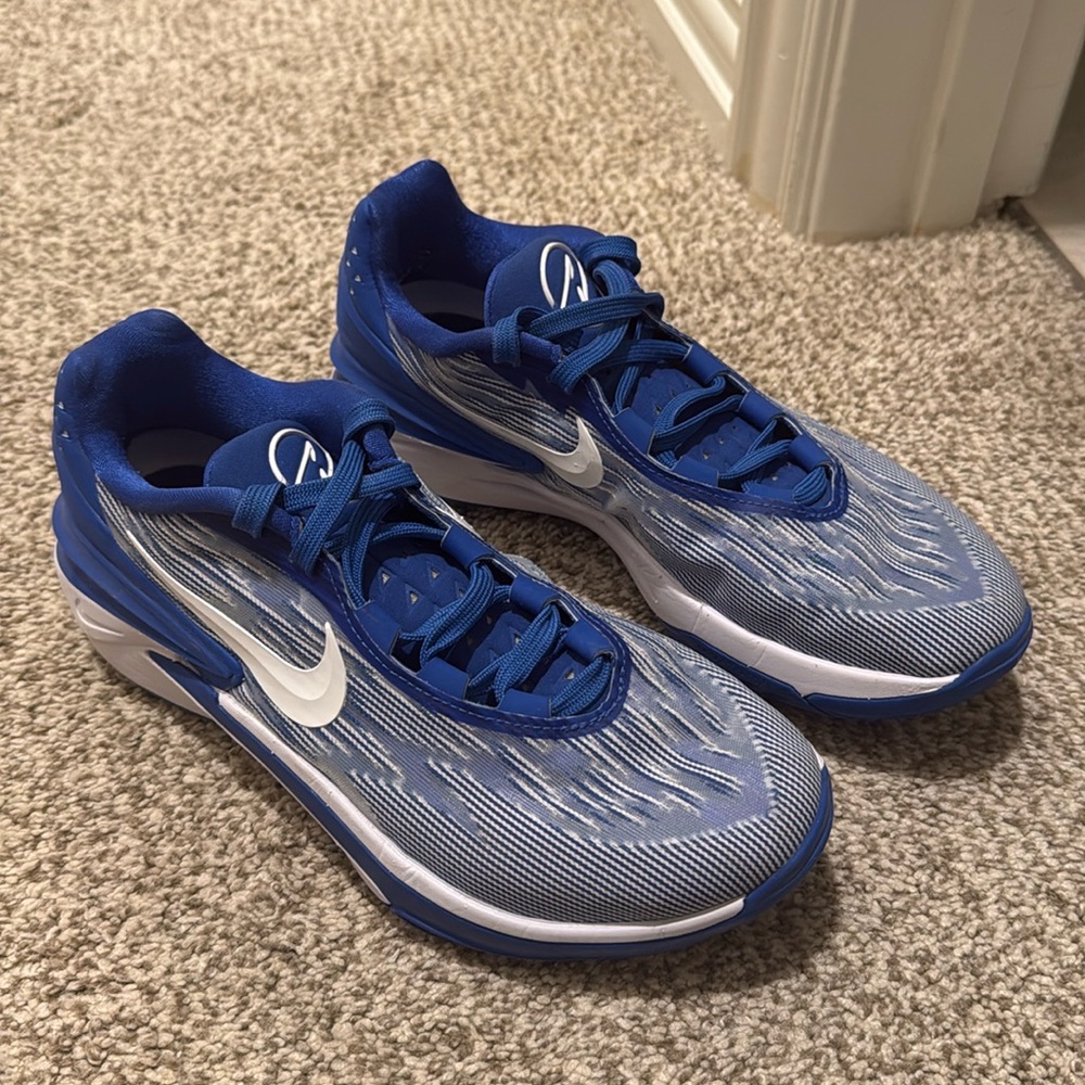 Nike court shoes for volleyball or basketball